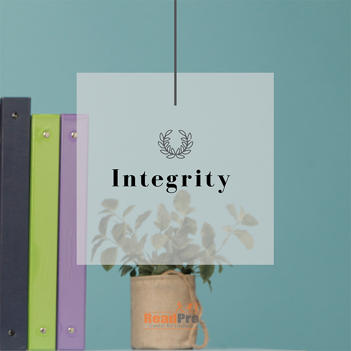 How We Work Integrity Pic